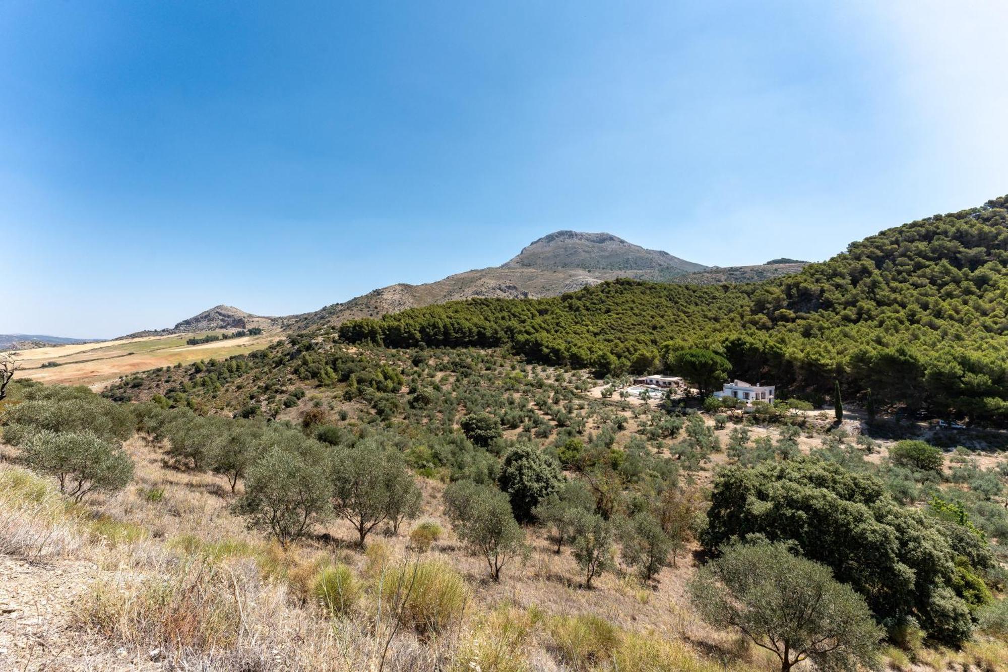 Cortijo La Zahurdilla Yunquera Εξωτερικό φωτογραφία